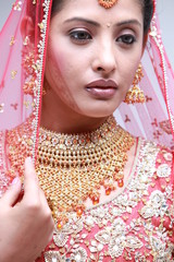 Wall Mural - Indian bride in traditional bridal sari in studio lighting indoor