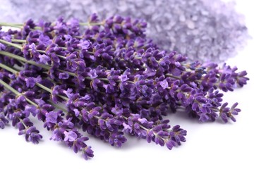 Fotomurales - Bouquet of lavender.
