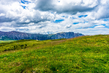 Alpe di Siusi, Seiser Alm with Sassolungo Langkofel Dolomite, a large green field with trees in the background