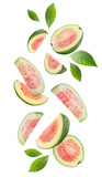 Fototapeta Koty - Falling guava fruits on white background