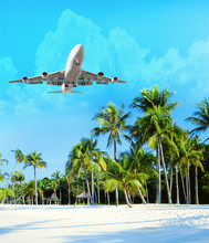 Plane Flies Over The Palm Trees. Travel Concept With Aircraft, Clouds And Palm Trees