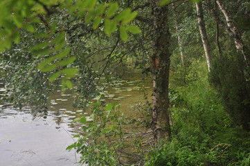 water, tree, reflection, nature, lake, park, forest, sky, outdoor, scenic, landscape, beautiful, travel, season, view, coast, waterfront, hills, vintage, misty, morning, tranquil, fore, empty, faded, 