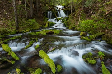 Wall Mural - Waterfalls in the north of Thailand are covered with moss and plants. Beautiful waterfall in the rain forest. Cascade falls over mossy rocks.