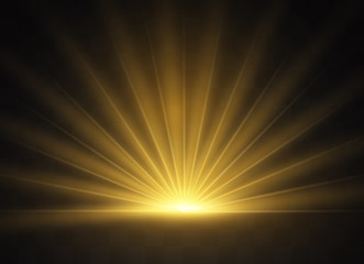 Wall Mural - light highlight yellow