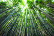 © Stockbym - Arashiyama Bamboo Forest in Kyoto Japan