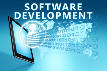 software development