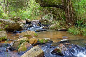 Wall Mural - Small creek with clear waters running through the rocks of the mountains of Minas Gerais