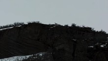 A Female Doe Deer Standing On The Ledge Of A High Cliff Of The Rocky Mountains Looking Down Below In The Dead Of Winter.