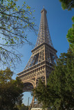 Fototapeta Boho - Tour Eiffel