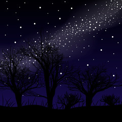 Wall Mural - Blue dark night sky with many stars above field of trees. Milky way cosmos background.