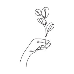 Wall Mural - Hand holds eucalyptus silver dollar branch continuous line drawing. One line . Hand-drawn minimalist illustration, vector.