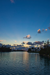 Wall Mural - Tropical Evening