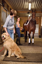 Grinning Young Woman Ready To Ride Tacked Up Thoroughbred Mare In Cross Ties With Watching Mother Petting Sitting Dog In Barn Stables