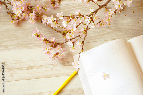 Fotomural Cherry blossoms and note サクラとノート