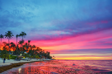 Wall Mural - Vibrant sunset over tropical beach and palm trees in Dominican republic