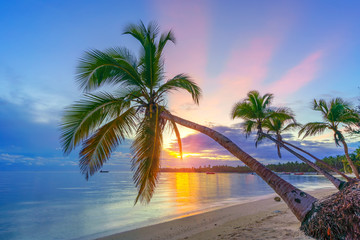 Canvas Print - Beautiful sunrise over tropical beach and palm trees in Dominican republic