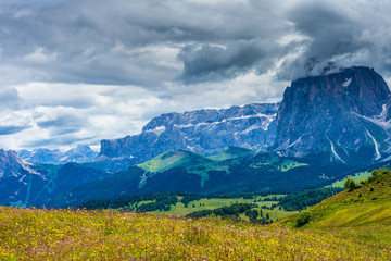 Alpe di Siusi, Seiser Alm with Sassolungo Langkofel Dolomite, a large green field with a mountain in the background