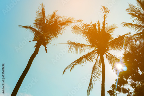 Leinwand Poster  Coconut palm tree beach summer concept