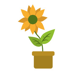 Wall Mural - Sunflower in pot cartoon