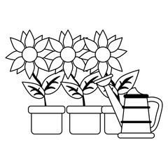 Wall Mural - Sunflowers in pots with water can in black and white