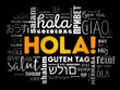 © dizain - Hola (Hello Greeting in Spanish) word cloud in different languages of the world