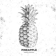 Hipster Realistic And Polygonal Tropic Fruit Pineapple On Grunge Background