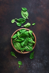 Wall Mural - Baby spinach leaves