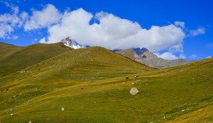 Wall Mural - Mountain scenery of Kazbegi, Georgia