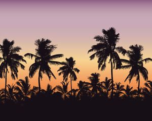 Realistic illustration of a palm forest. Purple orange sky with space for text, vector