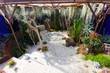 Garden landscape with cacti and aquarium