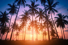 Silhouette Coconut Palm Trees On Beach At Sunset. Vintage Tone.