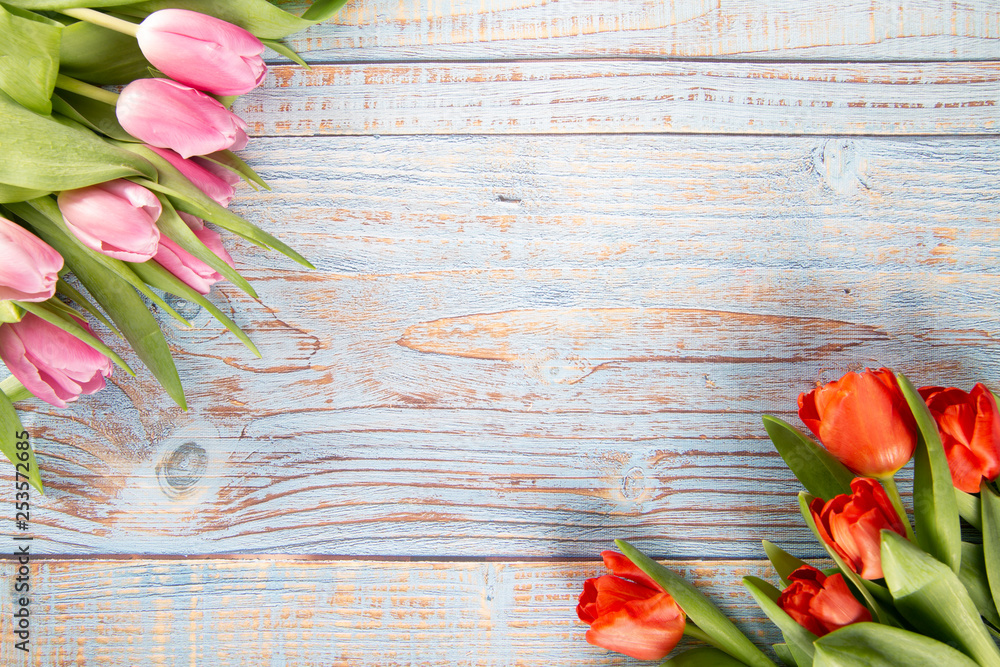 Kolorowe tulipany  na drewnianym tle - obrazy, fototapety, plakaty 