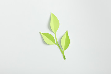 Wall Mural - top view of green paper plant on grey background