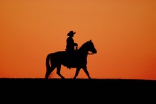 Cowboy Riding Horse In The Sunset