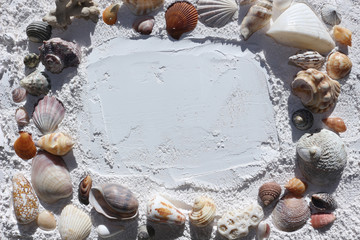 Wall Mural - A Frame of Seashells on White Sand