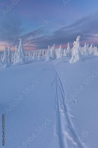 Panoramic View Of Beautiful Winter Wonderland Scenery In Scenic Golden Evening Light At Sunset With Clouds In Scandinavia Northern Europe Colorful Winter Sunrise In Mountains Christmas Time Concept Stock Photo Adobe