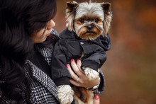 Cute Young Girl With Yorkshire Terrier Dog