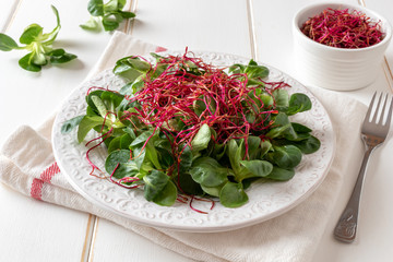 Wall Mural - Salad with lamb's lettuce and fresh red beet sprouts