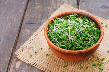 Wall Mural - Micro greens sprouts of mustard in ceramic bowl