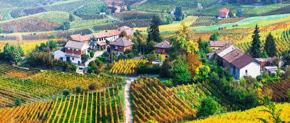 Wall Mural - scenic nature. Golden vineyards of Piemonte. famous vine region of Italy