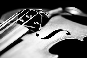 Violin , Instrument in Dark , Black and white , Music light