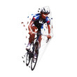 © michalsanca - Cycling, low polygonal road cyclist on his bike, geometric vector illustration