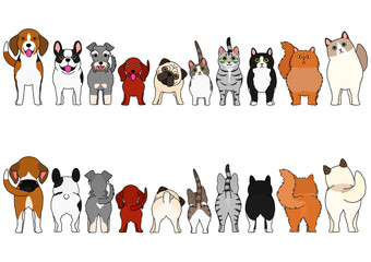 Wall Mural - cats and small dogs border set