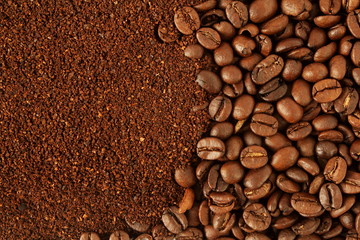 Wall Mural - dark roasted coffee beans and ground coffee powder closeup top view