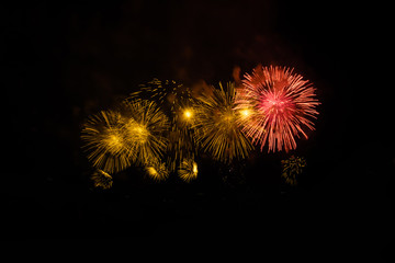 Colorful fireworks on the black sky background