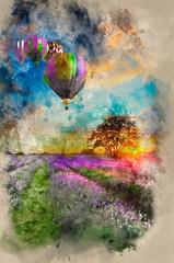 Wall Mural - Hot air balloons flying over lavender landscape sunset