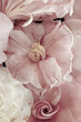 Fine art still life floral pastel color macro of a collage bouquet of pink white camellia blossoms with detailed texture seen from the top
