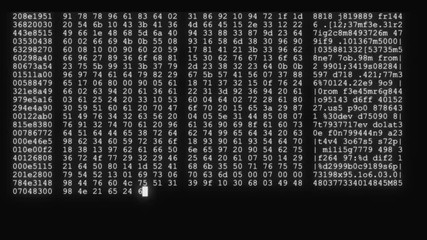 Wall Mural - encrypted fast long scrolling programming security hacking code data flow stream on black white disp