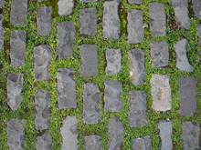 Grass Growing Between Stone Footpath Bricks Background