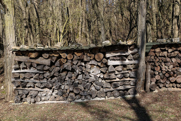 Wall Mural - Woodpile on the edge of the forest